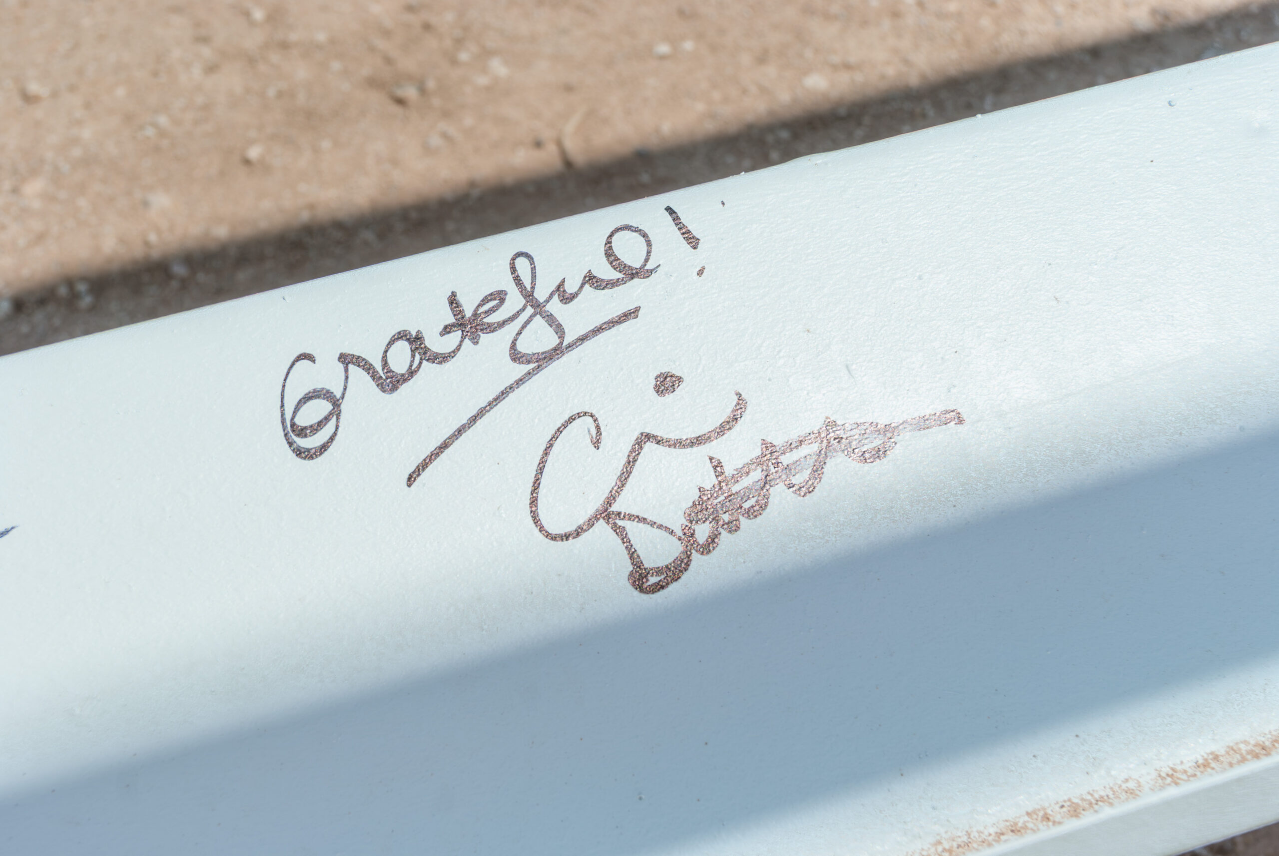 DeMont Vail construction progress